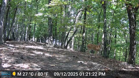 The Woods – 09/13/2025