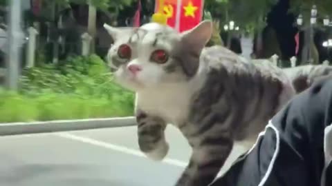 I Can Fly
