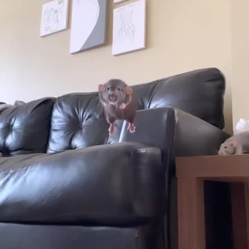 We got a jumper 😊