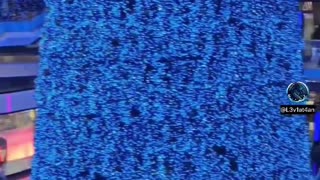 Palestine Protests at Eaton Centre on Boxing Day