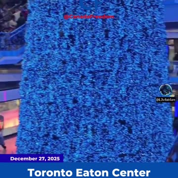 Palestine Protests at Eaton Centre on Boxing Day