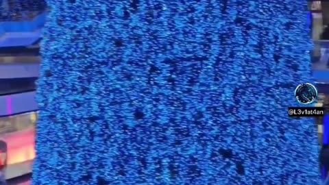 Palestine Protests at Eaton Centre on Boxing Day