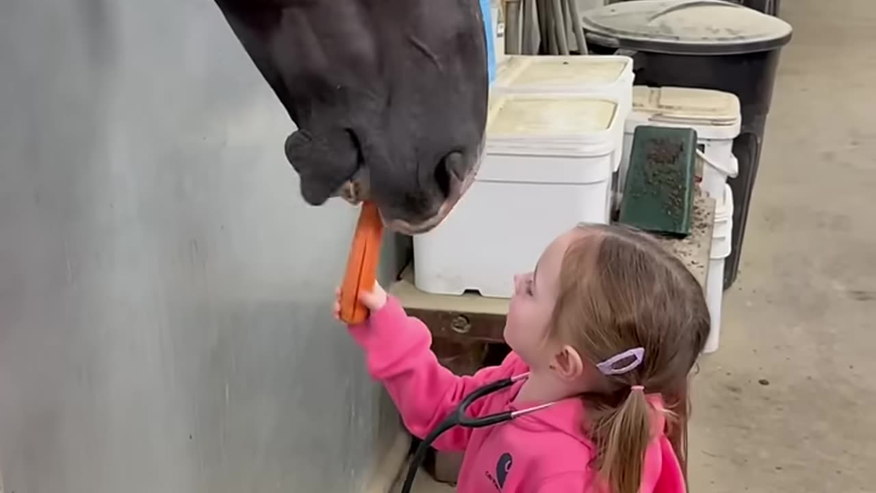 Should I just get a bin of treats next to each stall? #horse #toddlers #horsecare #equestrian