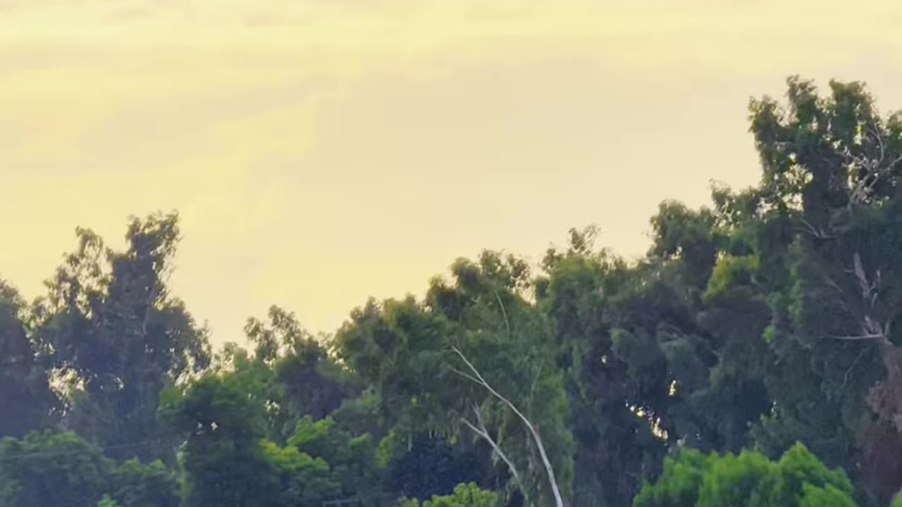 Zoomed In Capturing the Essence of My Village ❤