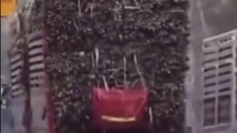 Clever elephant taking Road Tax from sugarcane trucks. 🐘🥹