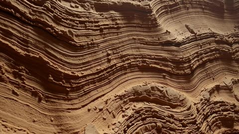 Dinosaur Dance Floor Discovered at Colorado’s Dinosaur Ridge 🦖💃