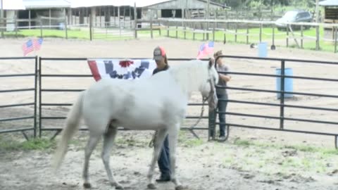 Skipper Calder & Cowboy-up Ministry bring horse training with a message at 11am.
