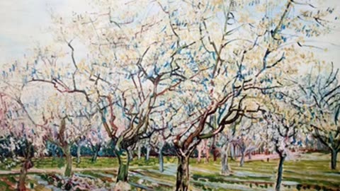 Momento Malum Today Episode 161 Plum Breeding