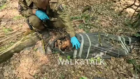 Ukrainian soldier