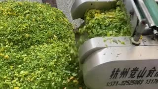 Vegetable slicing powerhouse !.hd