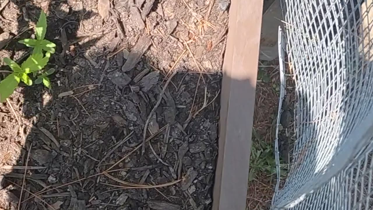 Outdoors