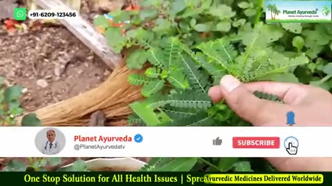 Monsoon, Sawan Special Diet-Lifestyle Tips by Dr Chauhan