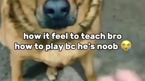 😂💡 You Won't Believe This Clever Solution! | FunFM
