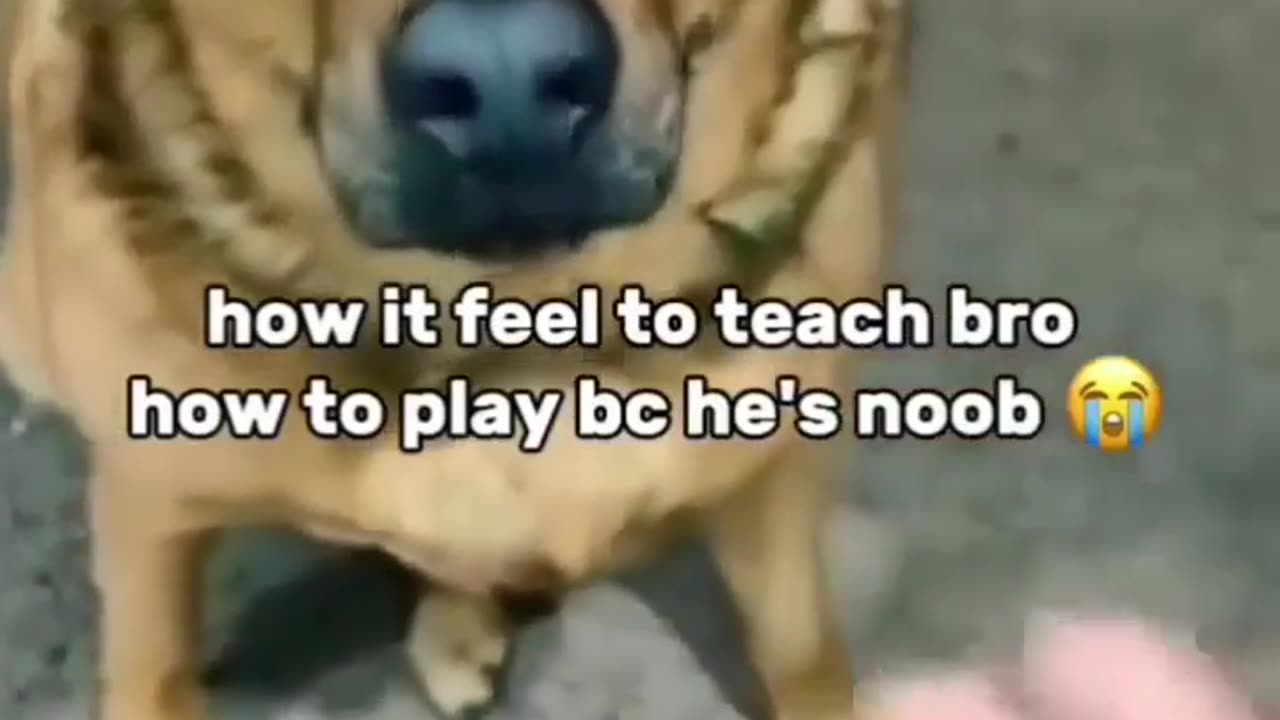 😂💡 You Won't Believe This Clever Solution! | FunFM