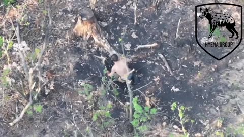 Ukraine war combat footage 9/6/25