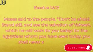 “The Miracle at the Red Sea” Exodus 14:1-31.#shortvideo #shorts #youtubeshorts #ytshorts #youtube