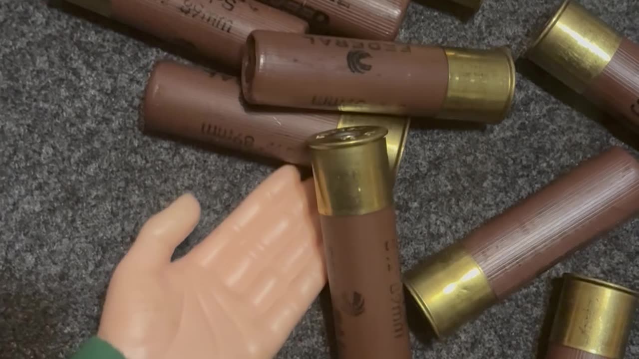 Friday Freedom Seeds with SPH featuring the 10 ga. #2A #funny