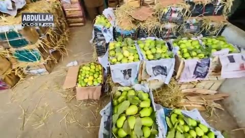 Cheap fruit market karachi