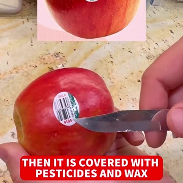 TOP! Read this before your next grocery run! 🛑That little sticker on your fruit- STAY HEALTHY