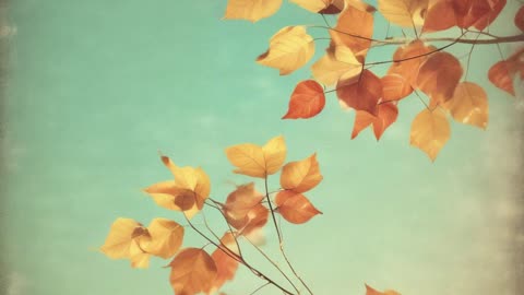 Tears I Leave Behind V2