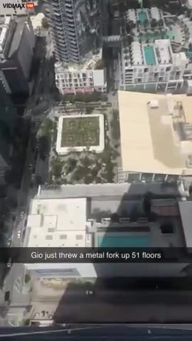 ONLY A NIGGER Throws A Fork Off The 51st Floor In A Miami Highrise