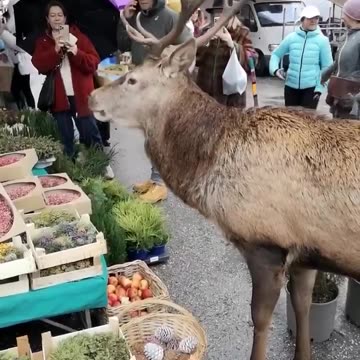 Product tasting and sampling