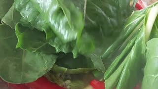 Easy Mungbean Recipe #shorts #cooking #food #recipe #easyrecipe