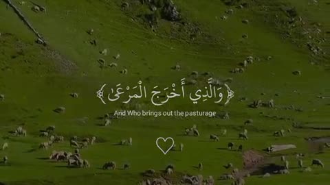 Jazakallah Subahanallah ♥️✨🕊️