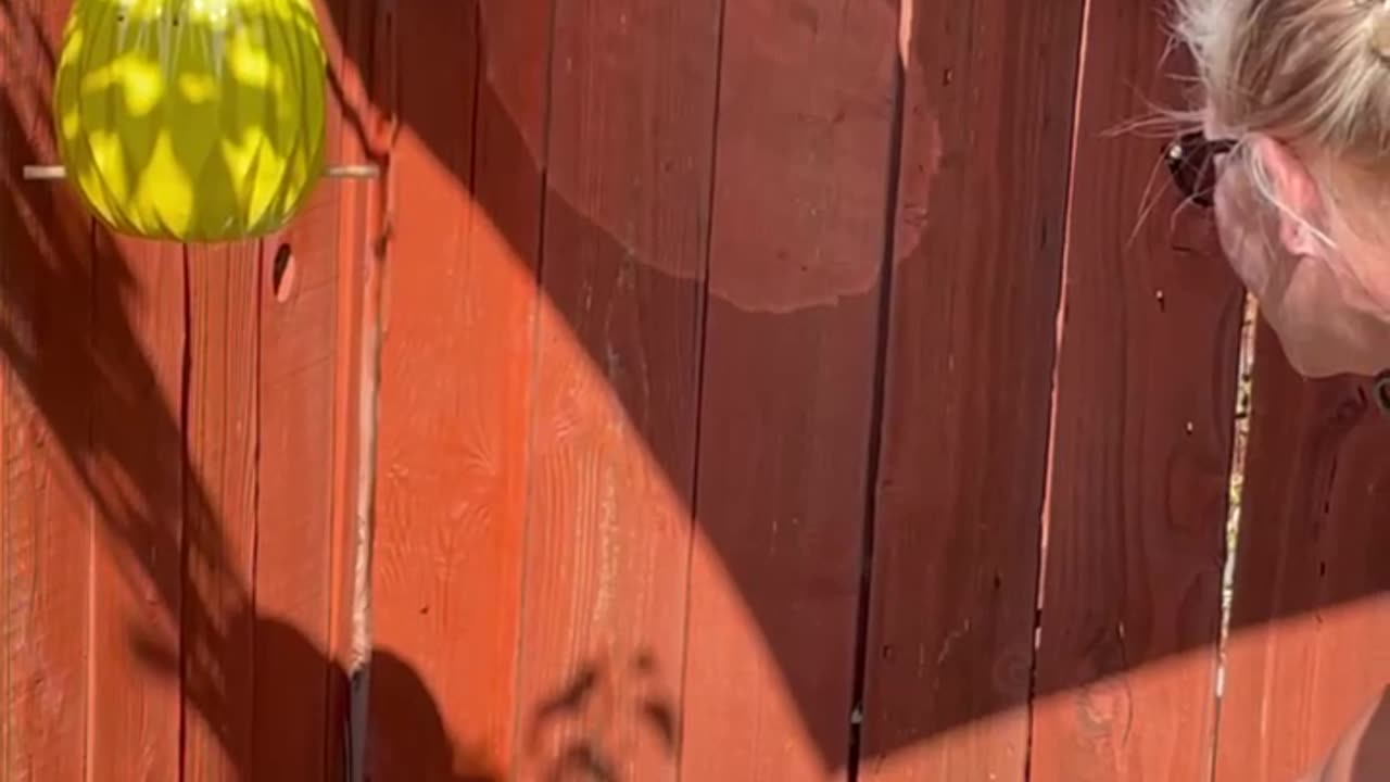 FREQUENCY EXPERIMENT - Can We Transfer Energy?