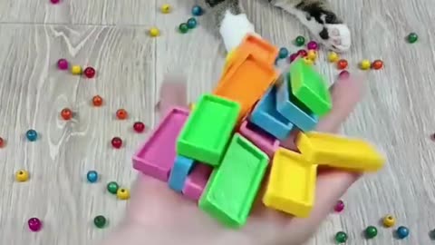 Cat Barsik Beads 📿 Domino Reverse Video #cat #catvideos #asatisfyingvideofamily #funny