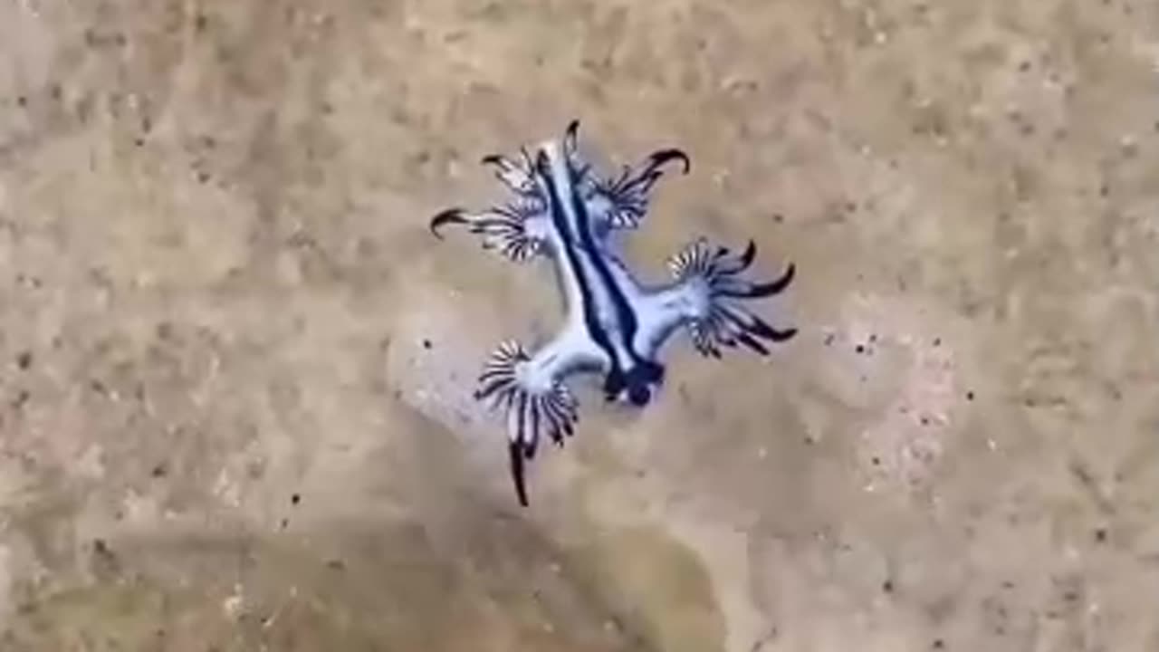 wonders of the world