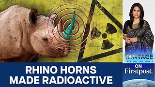 Radioactive Rhino Horns: South Africa’s New Weapon Against Poachers | Vantage with Palki Sharma
