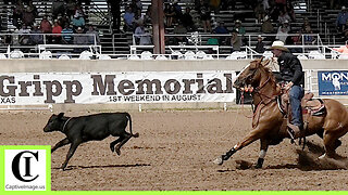 Tie-down Roping Round 3 Part 1🐂 2024 Spicer Gripp Memorial Roping (Highlights)