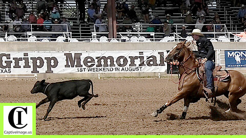 Tie-down Roping Round 3 Part 1🐂 2024 Spicer Gripp Memorial Roping (Highlights)