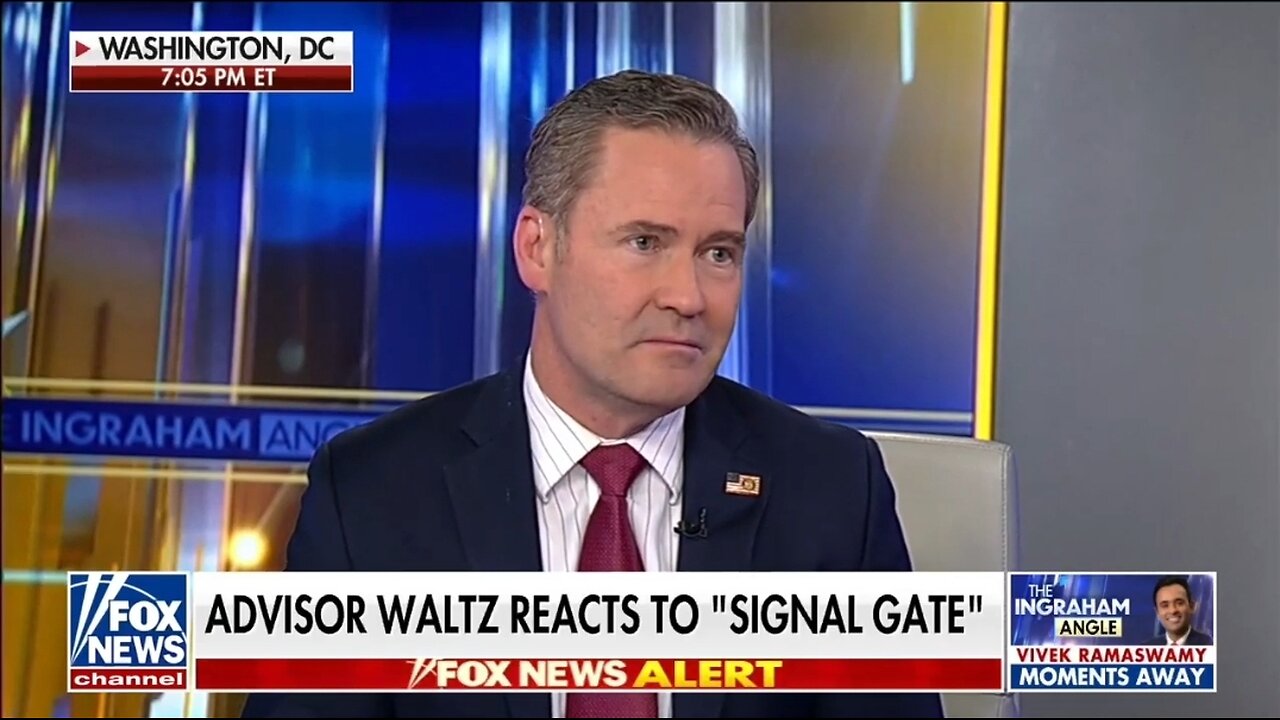 NSA Mike Waltz: Elon Musk Will Investigate Signal Chat Leak