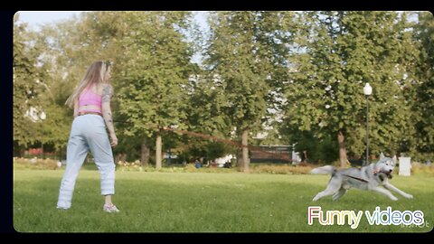 Husky Going Wild in the Park! 🐺😂 | Funny Dog Moments