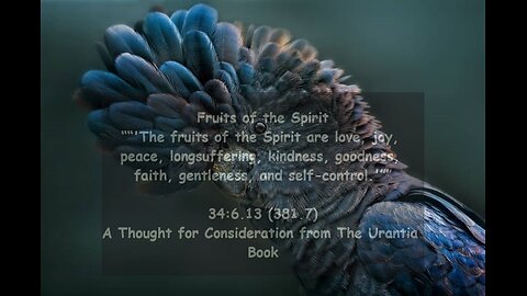 Fruits of The Spirit - How To Survive - The Architect