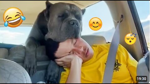 I'm 101% SURE that you will LAUGH EXTREMELY HARD- Funny Dog 2025 #