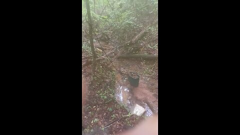 Spot I am currently gold prospecting.