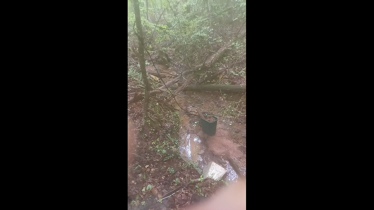Spot I am currently gold prospecting.