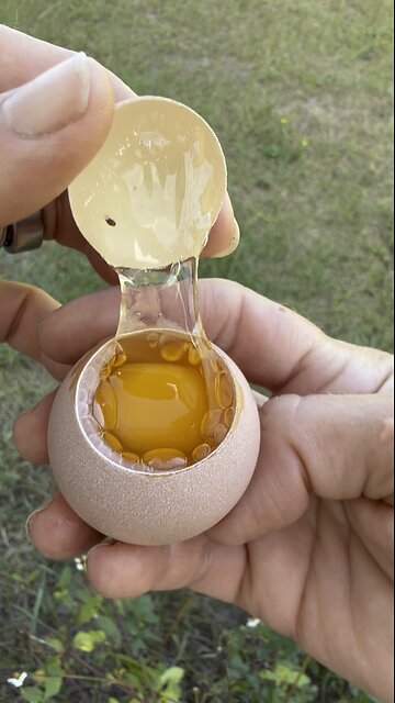 Freak egg! What caused this?