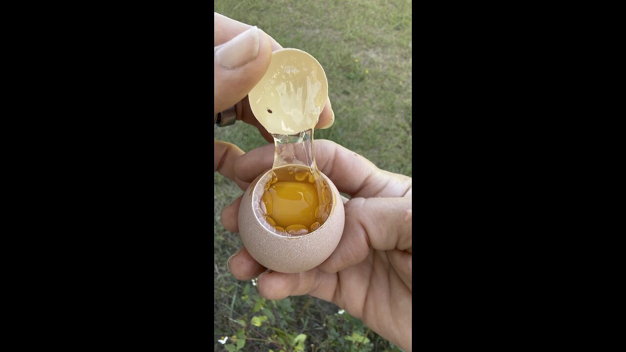 Freak egg! What caused this?