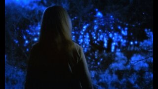 Alex Collier_Is AI the Cosmic_Infection_The Hidden Power of the X Symbol