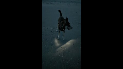 Leave it behind....