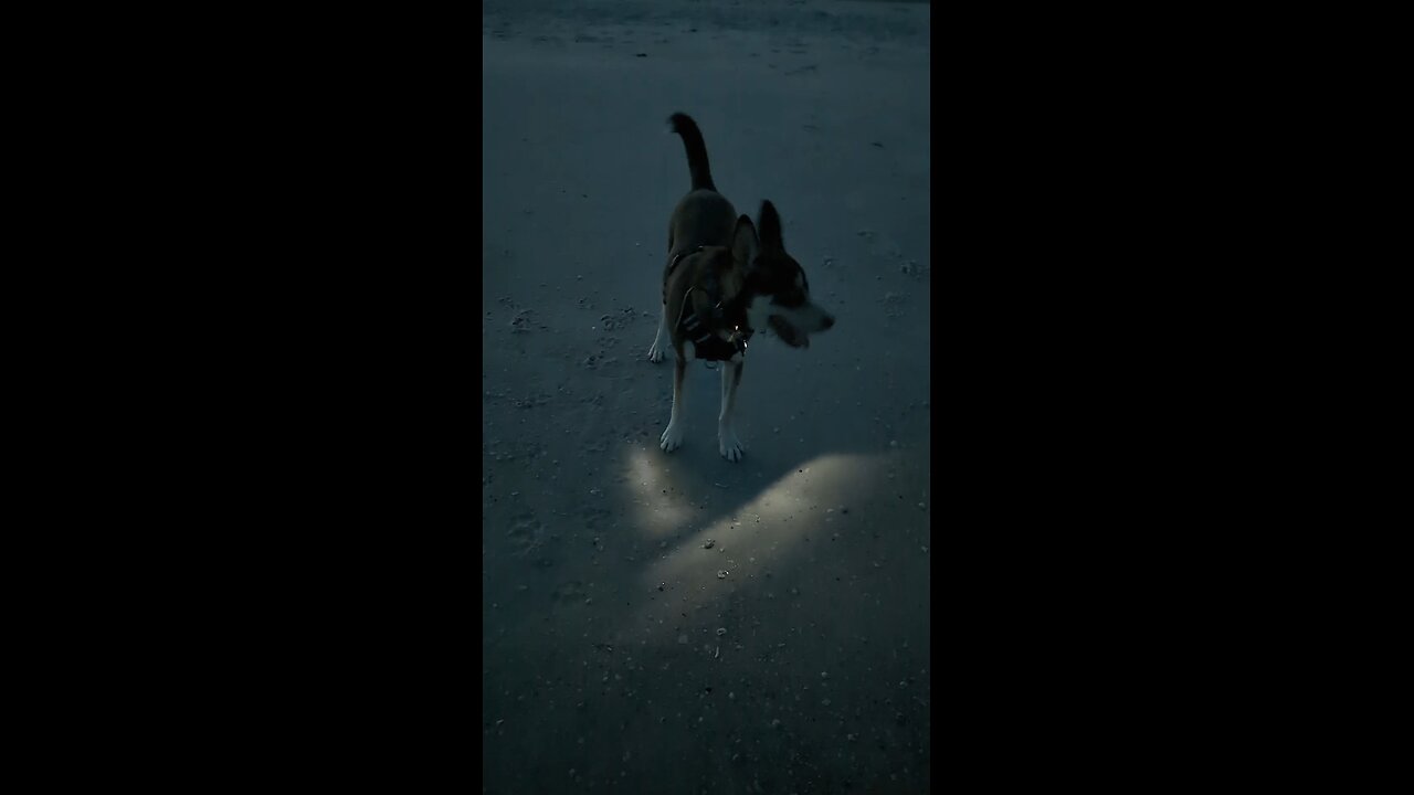 Leave it behind....