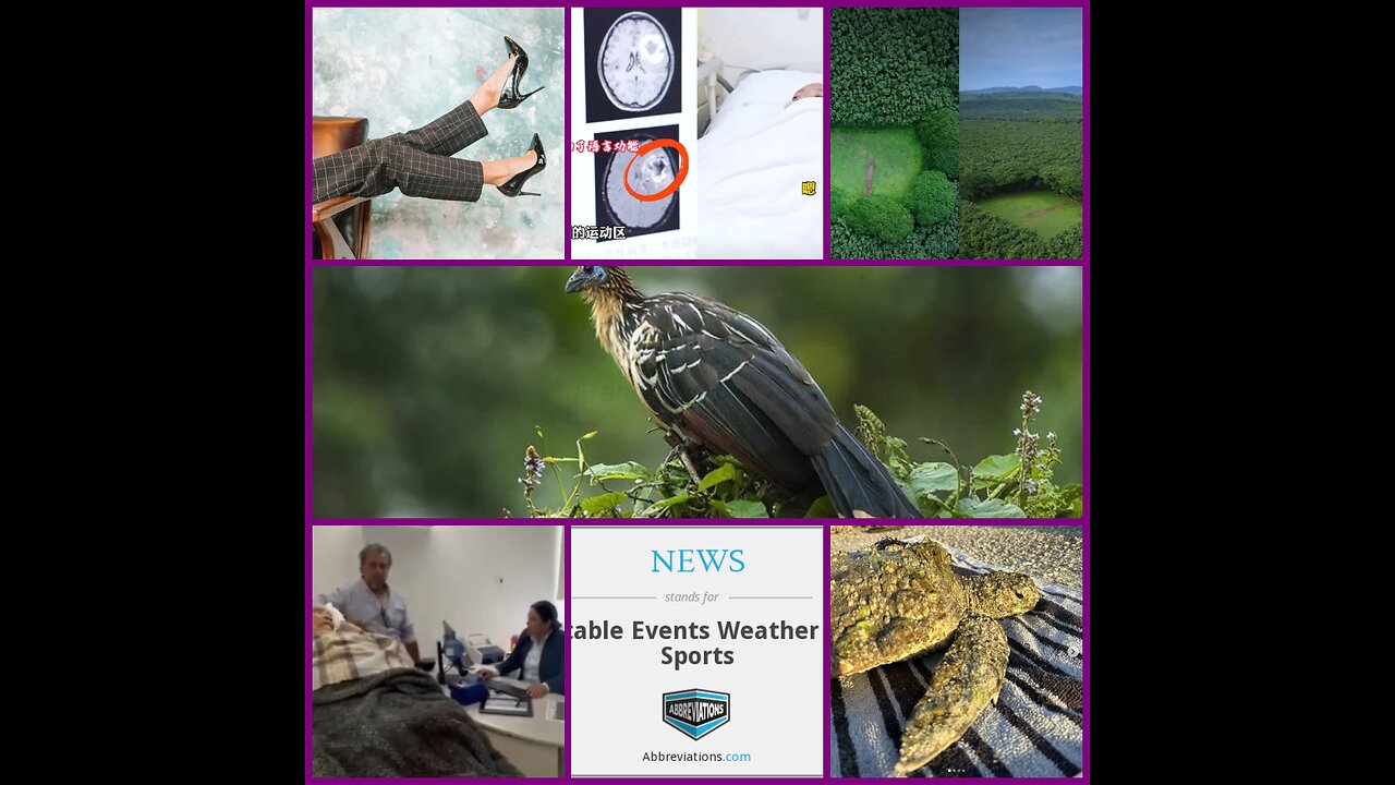 WEIRD WEEKLY RECAP - World's Stinkiest Bird, 96 Spoons, Baby Monkey Abductions and MORE! 05/24/2025