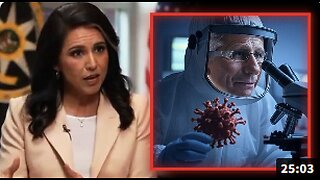 Tulsi Gabbard Now Investigating Fauci For His Role In Creating COVID-19