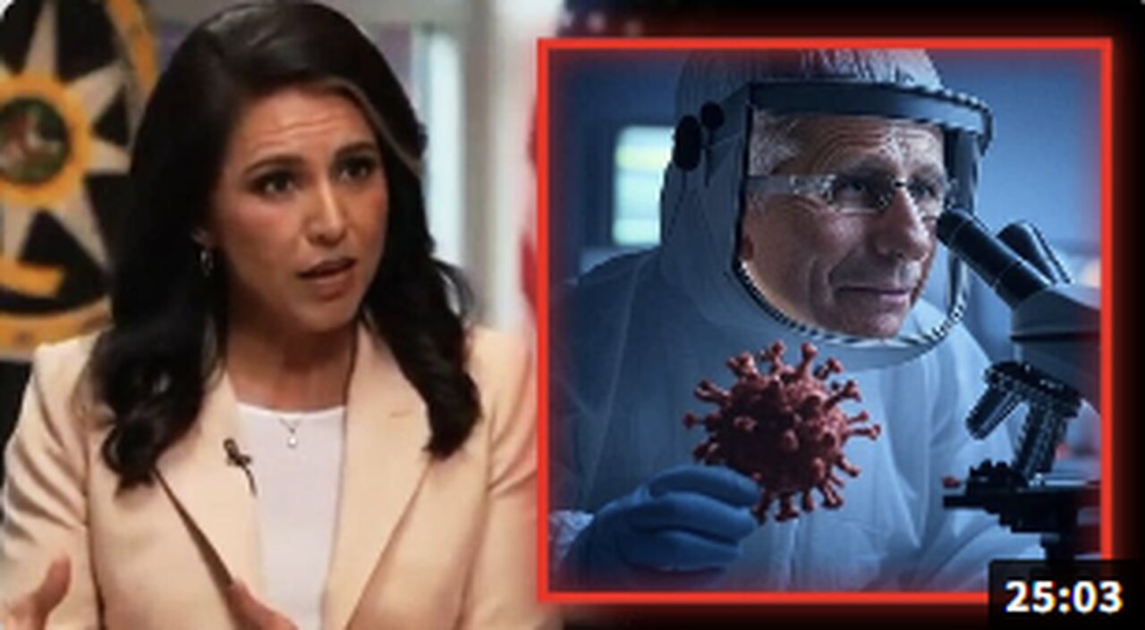 Tulsi Gabbard Now Investigating Fauci For His Role In Creating COVID-19