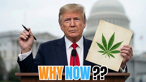 Trump Re-classifies Cannabis Instead Of Fixing Cost Of Living Crisis!