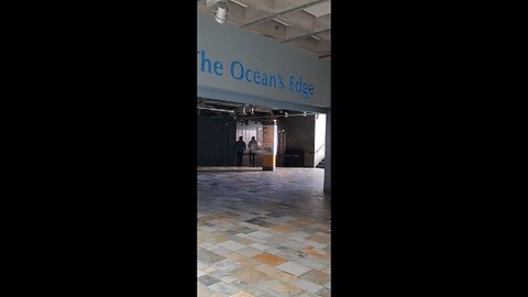Monterey Bay Aquarium?